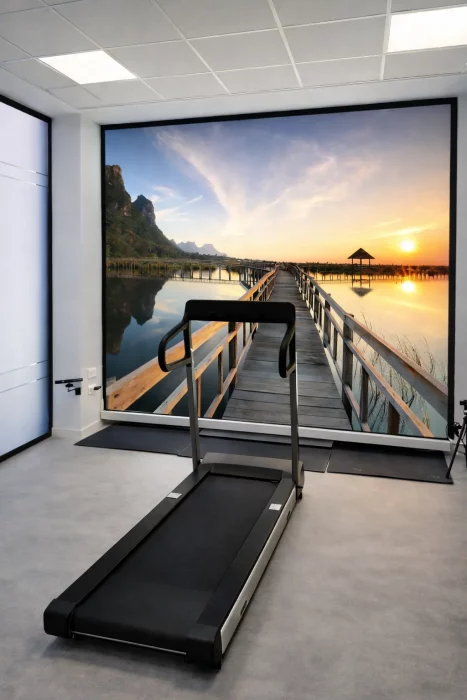 sala-estudio-biomecanico